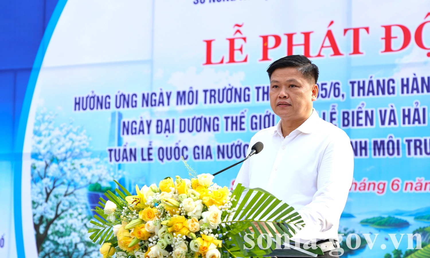 anh tin bai